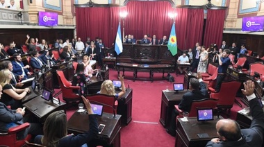 Juraron los nuevos senadores provinciales