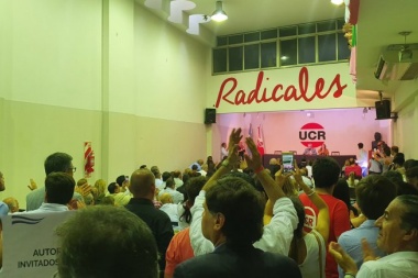 Radicales oficialistas y disidentes se trenzaron a golpes en el Comité Nacional