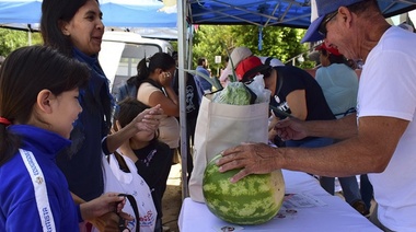 Empieza la entrega de la Tarjeta Alimentaria: conocé los distritos y las fechas previstas