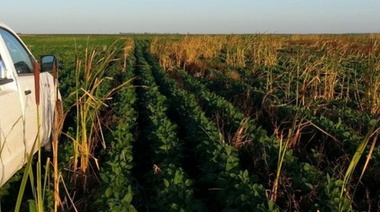El campo analiza el primer paro contra el gobierno bonaerense de Axel Kicillof