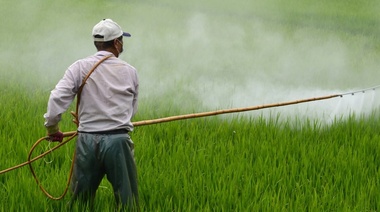 Es oficial: suspenden por un año más la aplicación de la resolución sobre agroquímicos