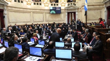 El Senado sancionó la Ley de Góndolas