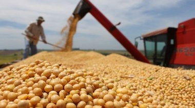 Confirman que retención a la soja subirá hasta 33% y no habrá cambios en trigo y maíz
