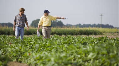 El Gobierno subió las retenciones a la soja y redujo las de las economías regionales