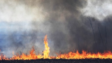 Once provincias sufren incendios forestales