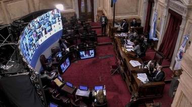 La Reforma Judicial obtuvo media sanción en el Senado