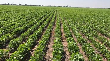 El Ministerio de Desarrollo Agrario asistirá de manera directa a 2400 productores agroecológicos