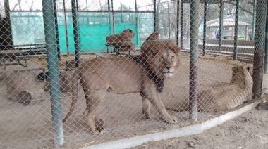 El Gobierno dispuso la clausura del Zoo de Luján