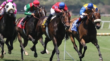 La Provincia habilita la actividad hípica a partir del 1° de octubre