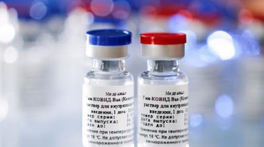 Vizzotti aseguró que la vacuna Sputnik V será gratuita