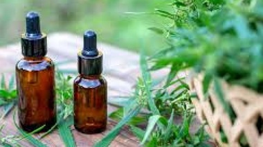 El Gobierno autorizó el autocultivo de cannabis para uso medicinal