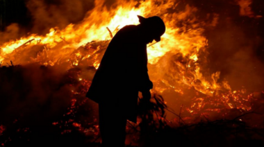 Diputados aprueban el proyecto que protege los ecosistemas de los incendios y prohíbe la venta de terrenos quemados