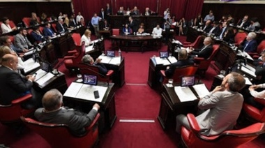 El Senado aprobó expropiar terrenos en el Conurbano para construir cárceles