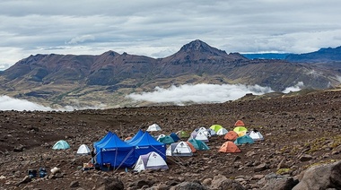 Científicos argentinos y japonense hallaron un mamífero de 70 millones de años de antigüedad en Santa Cruz