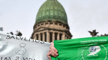 Diputados trata los proyectos de legalización del aborto y del "Plan de los 1000 días"