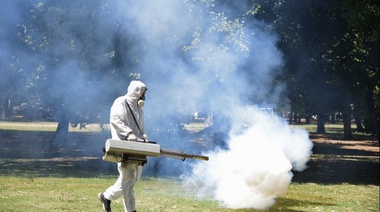 El Municipio intensifica la fumigación para prevenir el Dengue