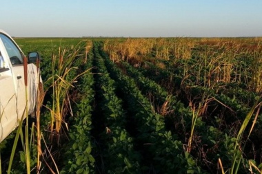 El campo analiza el primer paro contra el gobierno bonaerense de Axel Kicillof