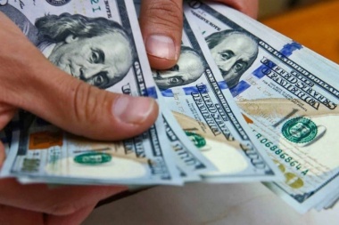 El Senado aprobó que legisladores nacionales no puedan adquirir dólar ahorro