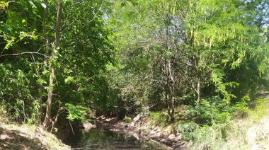 El Municipio trabajan en la recuperación ambiental del Arroyo Rodríguez