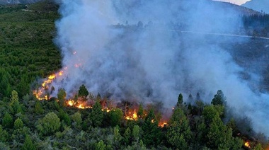 Sergio Federovisky: "El fuego en El Bolsón está contenido pero no controlado"