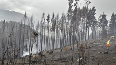 El Senado declaró "zona de desastre" al Bolsón, Cushamen y Bariloche