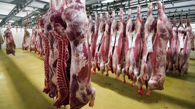 Suspenden la exportación de carne