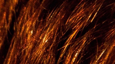 ¿Qué significa la foto de pelo colorado?