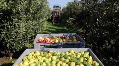 Once pymes de Río Negro exportarán productos regionales a Alemania