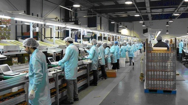 Según el INDEC, la industria creció 10,5% en junio