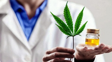 El 17,6% de las personas que usan cannabis lo hacen con fines medicinales