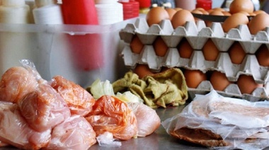 Salta decretó la alerta epidemiológica por salmonella