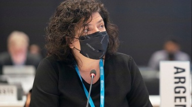 Vizzotti: "Aún no se sabemos cuándo va a bajar la curva, pero en marzo habrá más tranquilidad"