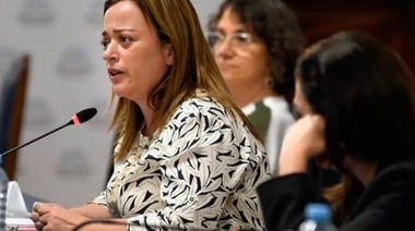 Moreau, sobre vicepresidencia del bloque FDT en Diputados: "Si quieren que me quede, me quedaré"