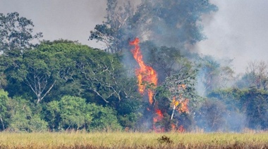Corrientes: los incendios arrasaron con el 10% del territorio