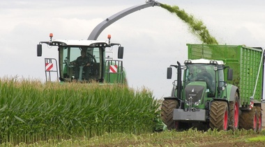 España y Francia le proponen a la UE comprarle cereales a Argentina