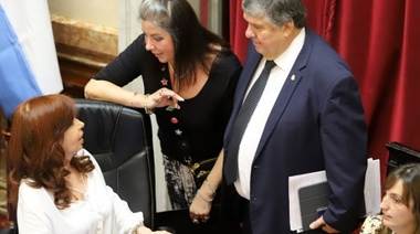 El Frente de Todos se convirtió en un interbloque en el Senado