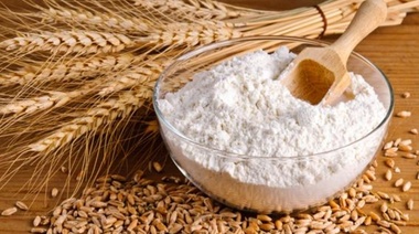 Buscan reforzar y potenciar el Fondo Estabilizador del Trigo Argentino