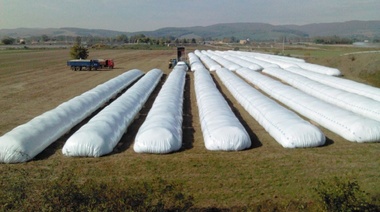 El Gobierno busca que las cerealeras exportadoras aceleren la liquidación de divisas