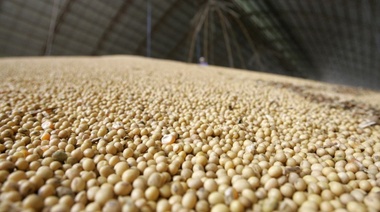 Evalúan un dólar a $200 para las exportaciones del agro