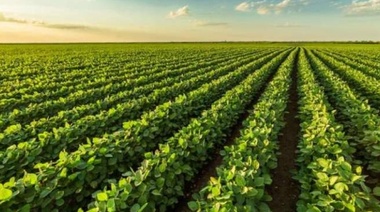 El Gobierno oficializó la creación de un tipo de cambio especial para la exportación de soja