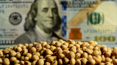 Los productores vendieron 4,6 millones de toneladas de soja