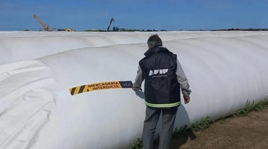La AFIP detectó 920 toneladas de maíz sin declarar en Olavarría