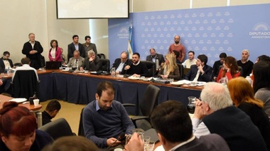 Diputados continúa con el debate de la Ley de Humedales