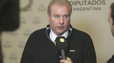 Diputados: el Frente de Todos presentó un proyecto de ley para excluir a Milman