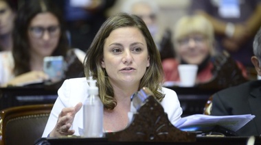 Para Siley, el juicio político contra Rosatti es necesario “para defender la democracia”