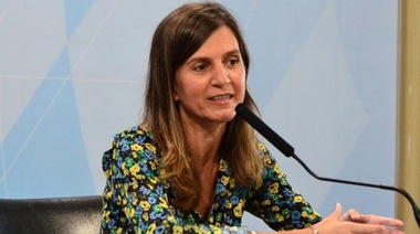 Raverta defendió el "Plan de pago de deuda Previsional" en Diputados