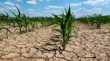 Sequía: el Gobierno invertirá $70.000 millones en créditos y fondos rotatorios para productores