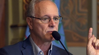 "Si uno mira los números, creemos que la mejor candidata es Cristina", señaló Gollan