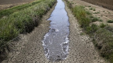 Economía da por declarada la emergencia agropecuaria por sequía en 64 partidos bonaerenses