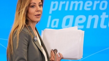 Royon dijo que si se llegara a una quita de concesión a Edesur "va a ser con todo el sustento legal"